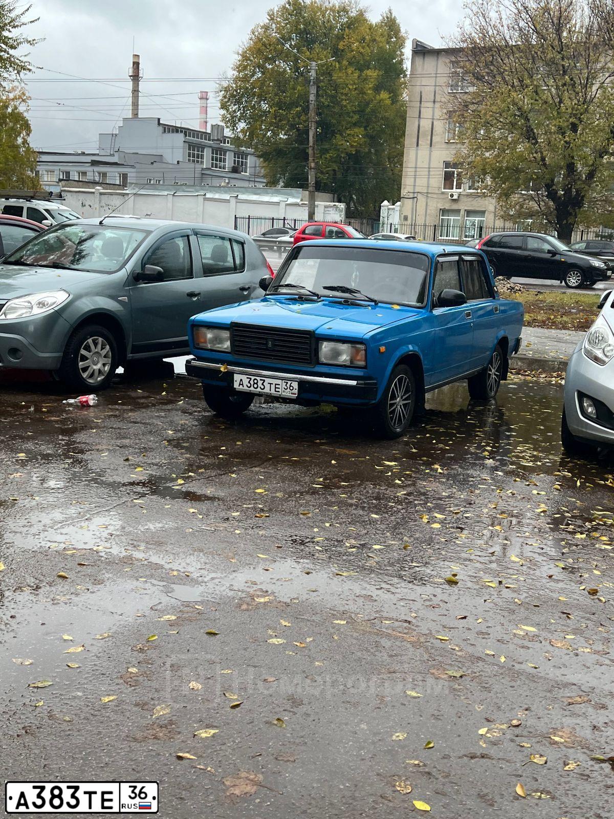 Фото автомобиля HYUNDAI SOLARIS, 2013 — госномер М585КА123. Цвет: Белый