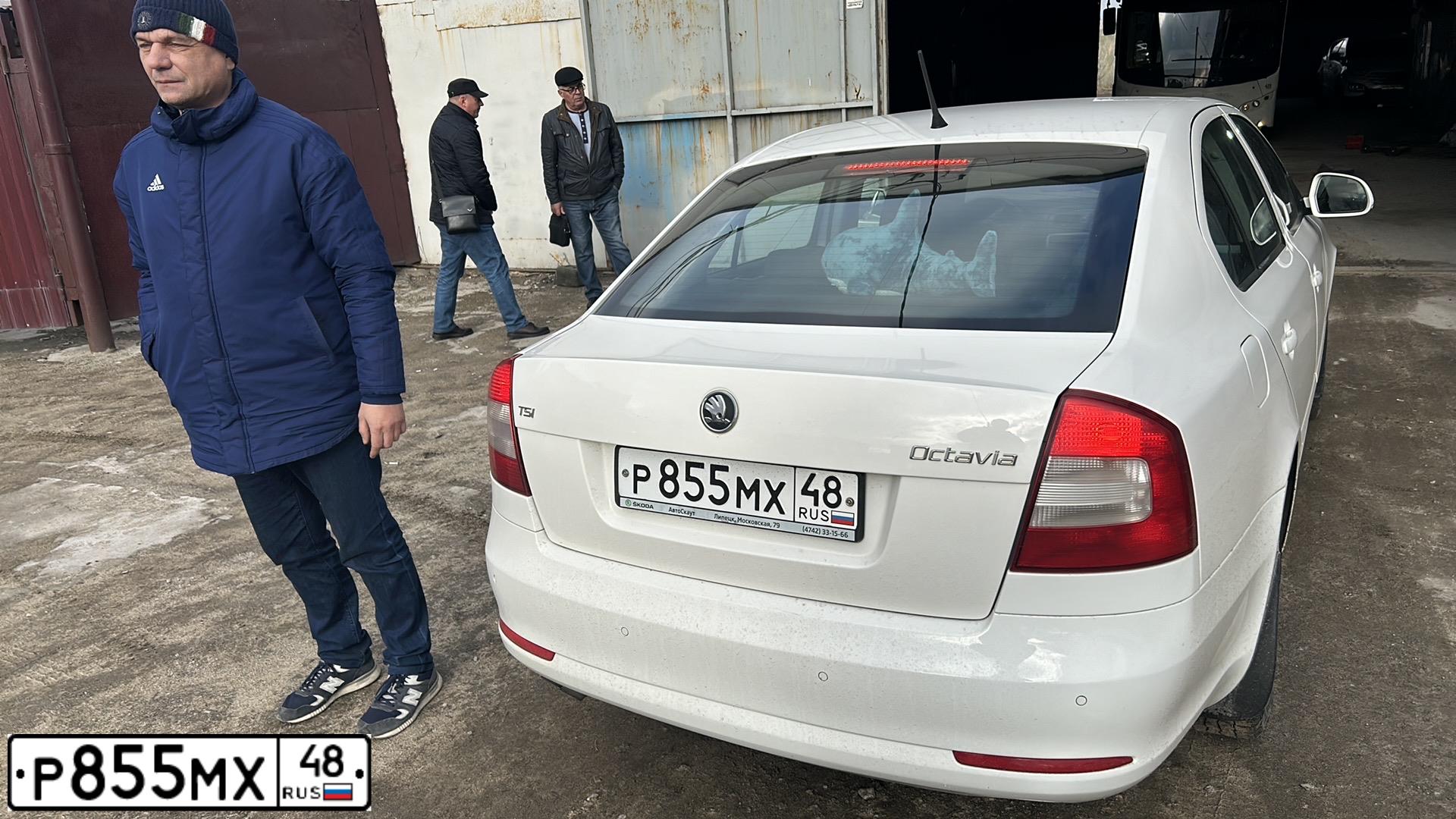 Фото автомобиля SKODA OCTAVIA, 2012 — госномер М900ВЕ48. Цвет: БЕЛЫЙ