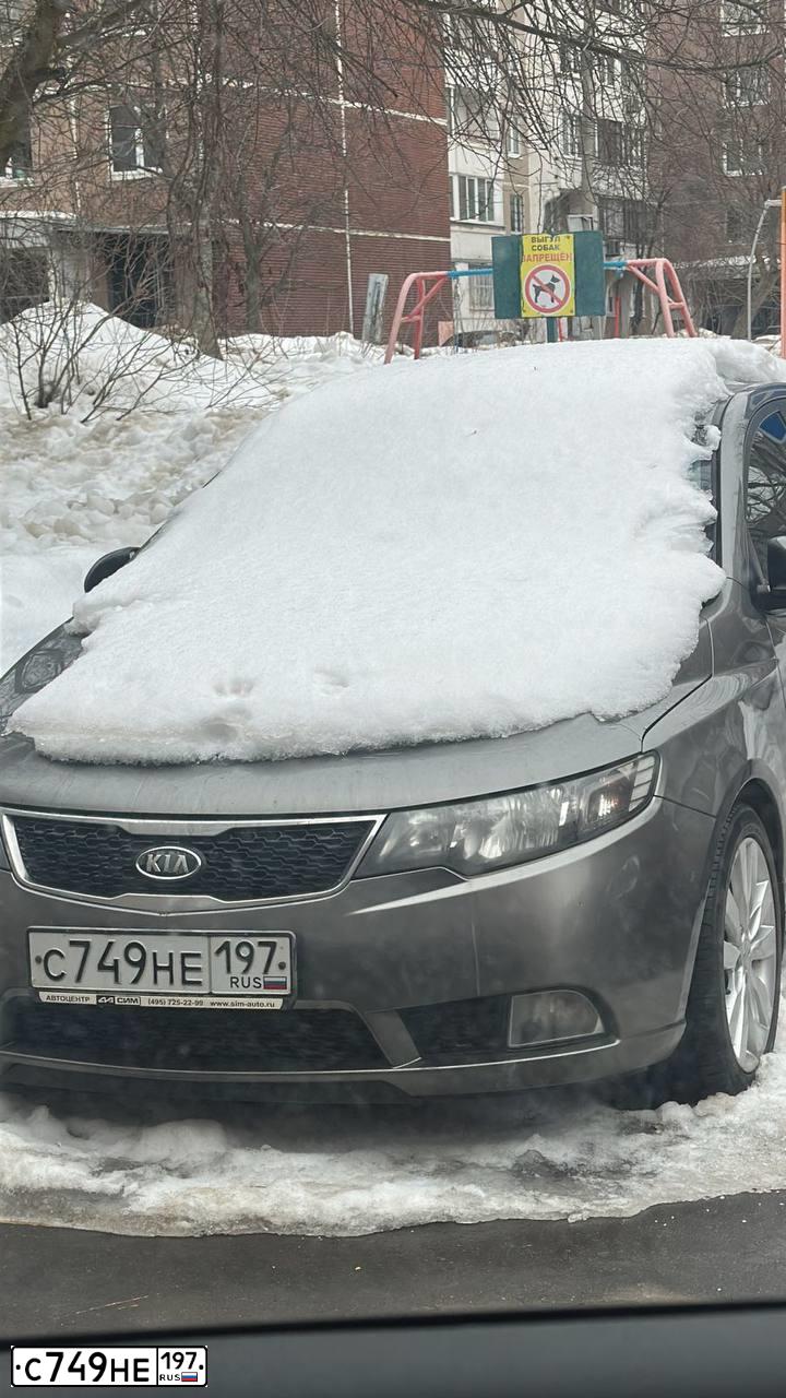 Фото автомобиля KIA CERATO, 2011 — госномер С749НЕ197. Цвет: СЕРЫЙ
