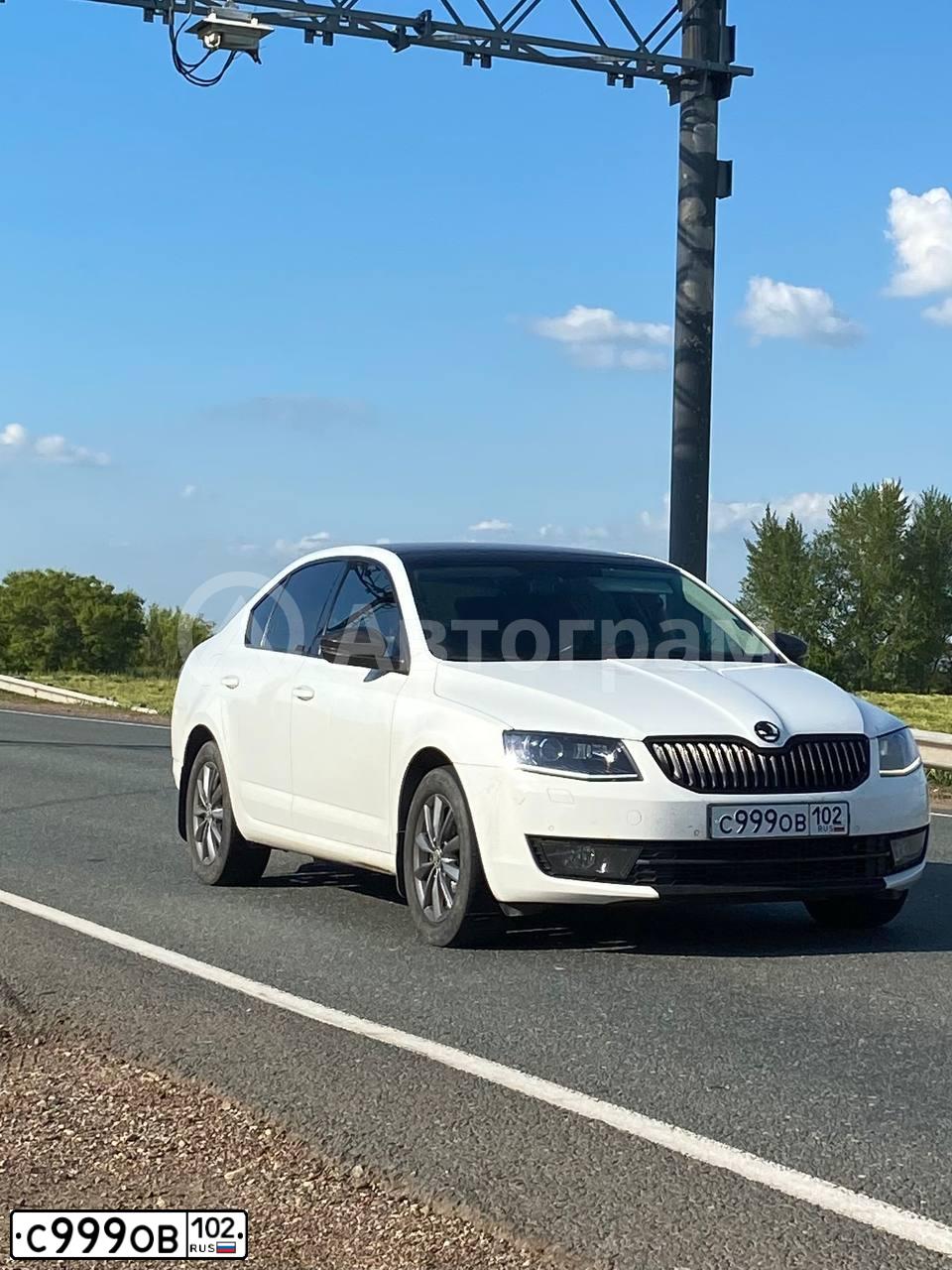 Фото автомобиля SKODA OCTAVIA, 2014 — госномер М295ЕН702