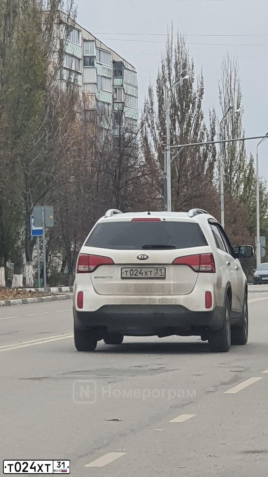 Фото автомобиля KIA SORENTO, 2013 — госномер Т024ХТ31. Цвет: Белый