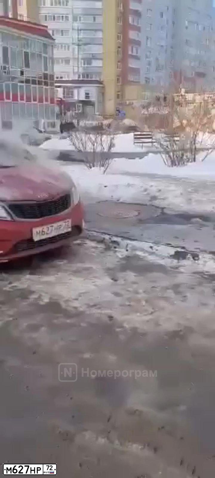 Фото автомобиля KIA RIO, 2011 — госномер М627НР72