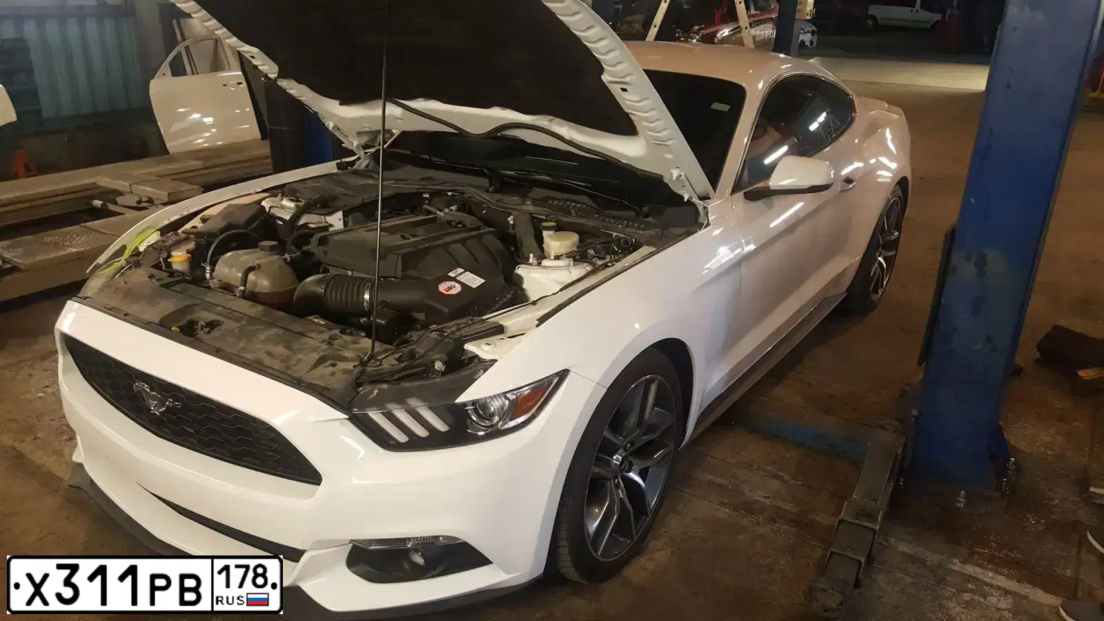 Фото автомобиля FORD MUSTANG, 2015 — госномер Т777ВВ78. Цвет: ТЕМНО-ВИШНЕВЫЙ