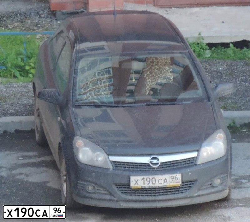 Фото автомобиля OPEL ASTRA, 2007 — госномер С844НМ196. Цвет: ЧЕРНЫЙ