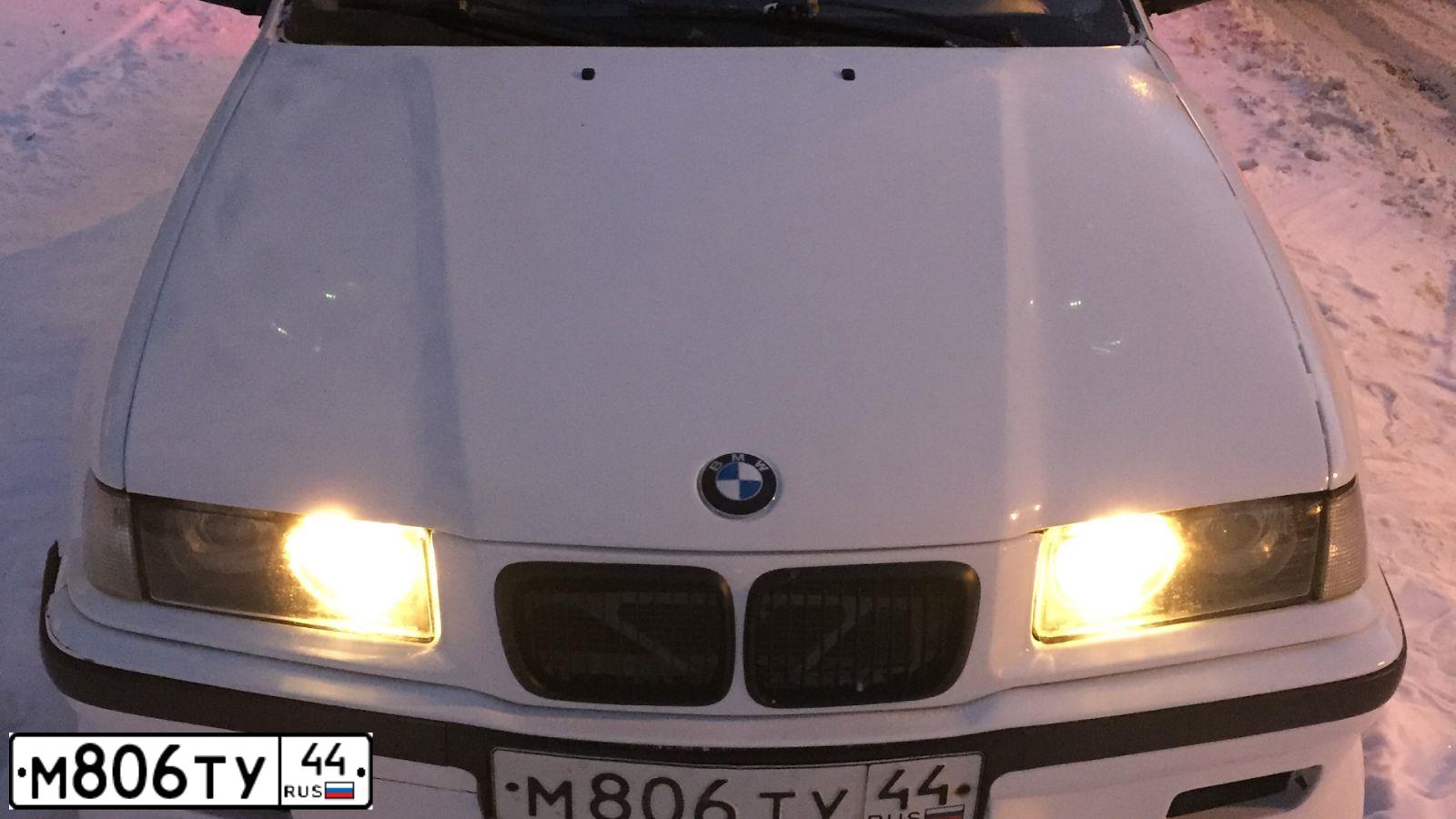 Фото автомобиля BMW SERIE 3, 1995 — госномер У209ЕР76. Цвет: Красный
