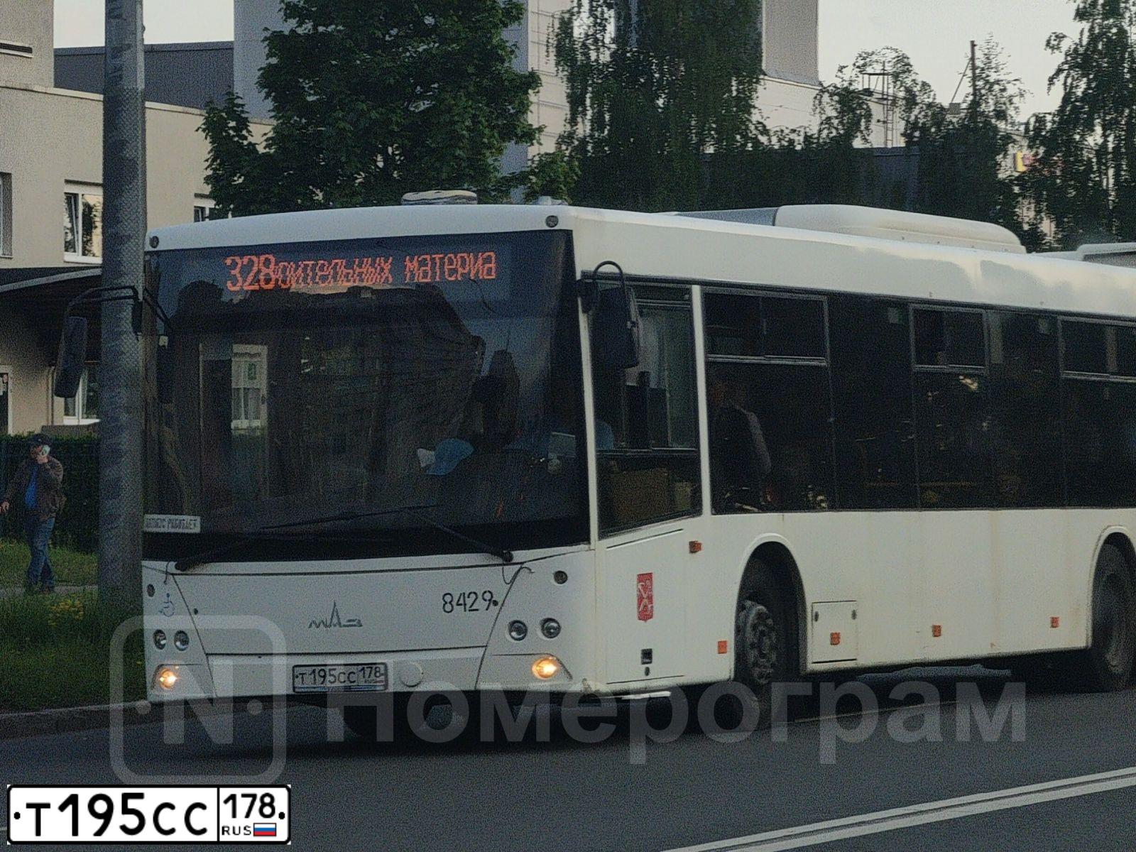 Фото автомобиля MAZ 203, 2015 — госномер Т195СС178. Цвет: БЕЛЫЙ