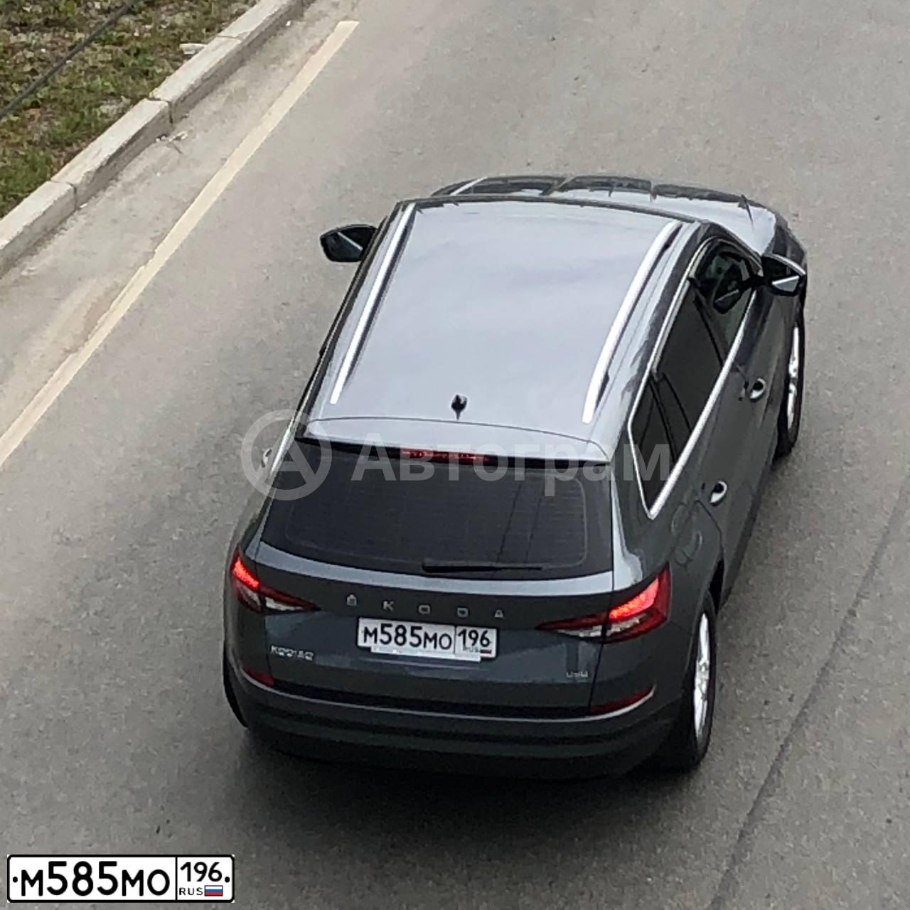Фото автомобиля SKODA KODIAQ, 2019 — госномер М585МО196. Цвет: СЕРЫЙ