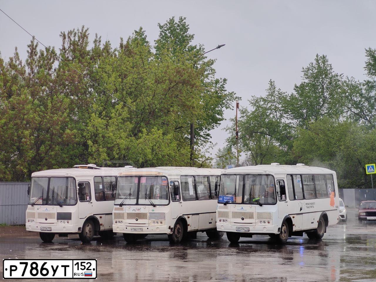 Фото автомобиля PAZ Z 3205, 2019 — госномер Р786УТ152. Цвет: Белый