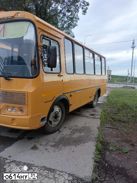 Фото автомобиля PAZ 3205, 2017 — госномер О614НУ31. Цвет: ЖЁЛТЫЙ