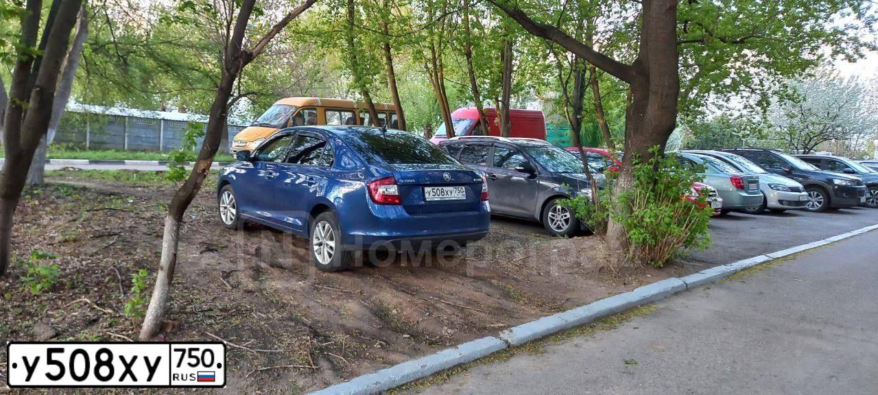 Фото автомобиля SKODA RAPID, 2019 — госномер Е914ВТ11. Цвет: ЯРКО-СИНИЙ