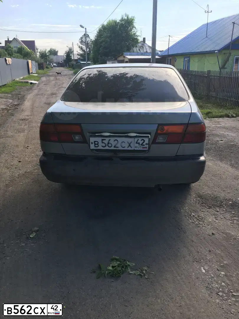 Фото автомобиля NISSAN SUNNY, 1997 — госномер В562СХ42