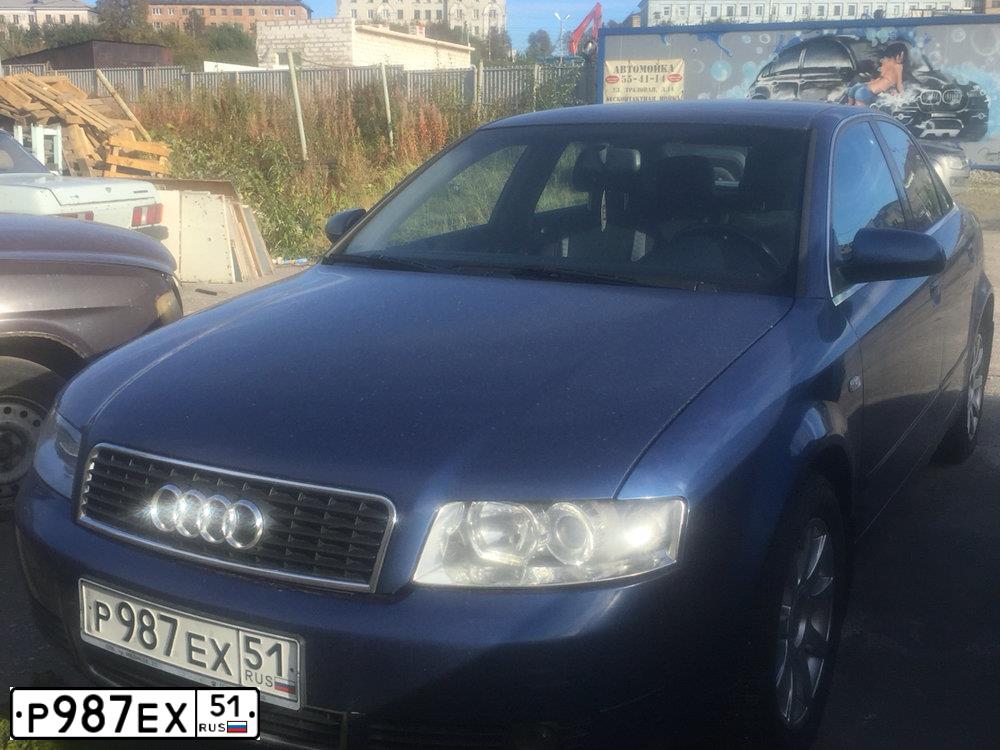 Фото автомобиля AUDI A4, 2004 — госномер Т168КУ51. Цвет: синий