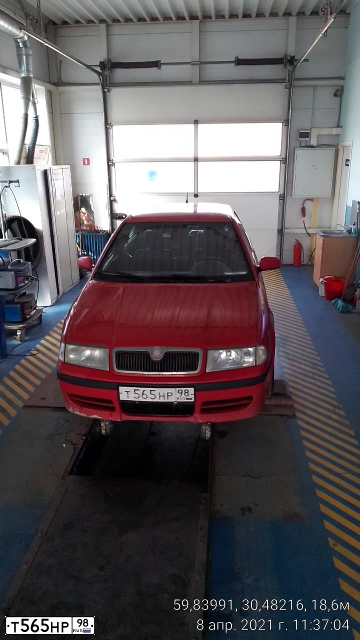Фото автомобиля SKODA OCTAVIA, 2008 — госномер Т565НР98. Цвет: КРАСНЫЙ