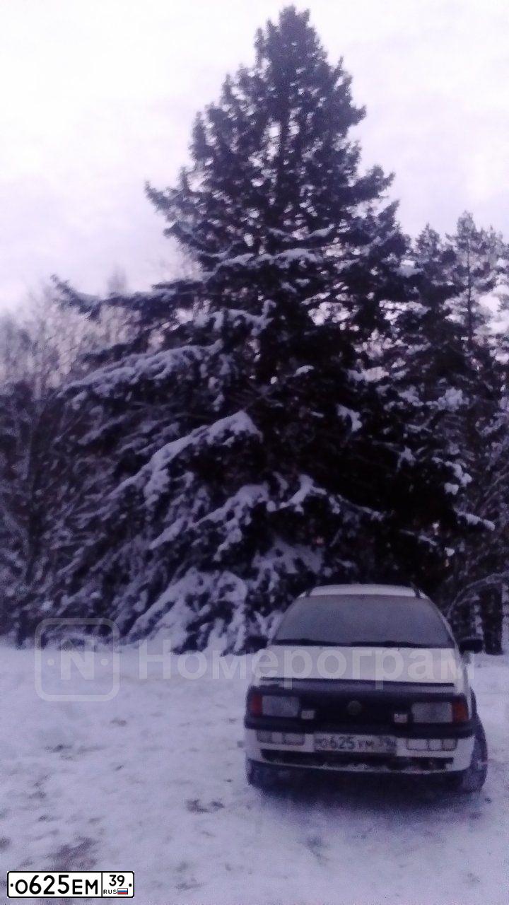 Фото автомобиля RENAULT KERAX, 2002 — госномер Р035КР39. Цвет: БЕЛЫЙ