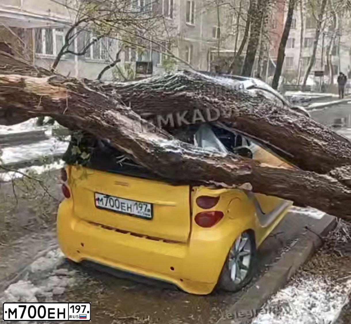 Фото автомобиля SMART FORTWO, 2014 — госномер М700ЕН197. Цвет: ЖЁЛТЫЙ