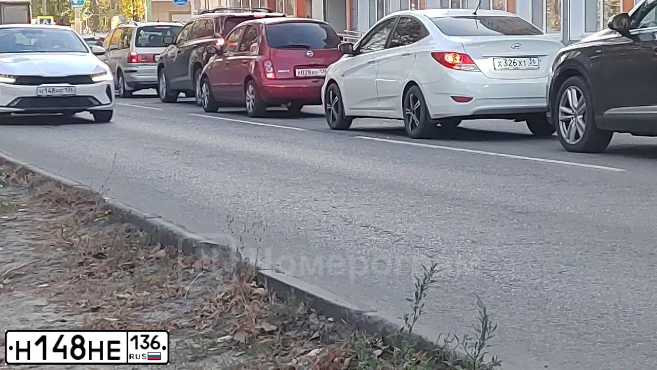 Фото автомобиля KIA K5, 2023 — госномер Н148НЕ136. Цвет: Белый