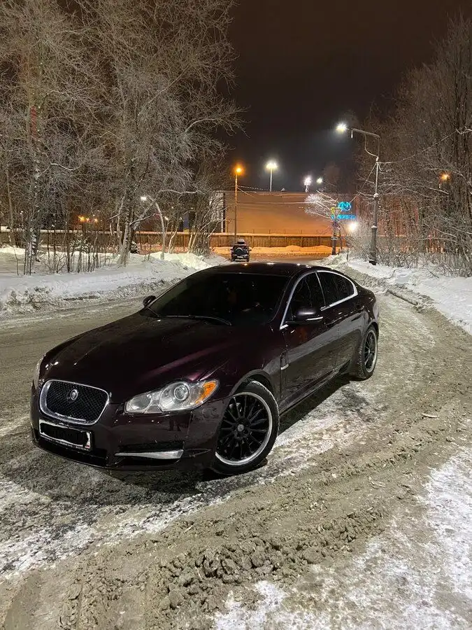 Фото автомобиля JAGUAR XF-SERIE, 2010 — госномер А309ТР51. Цвет: Коричневый