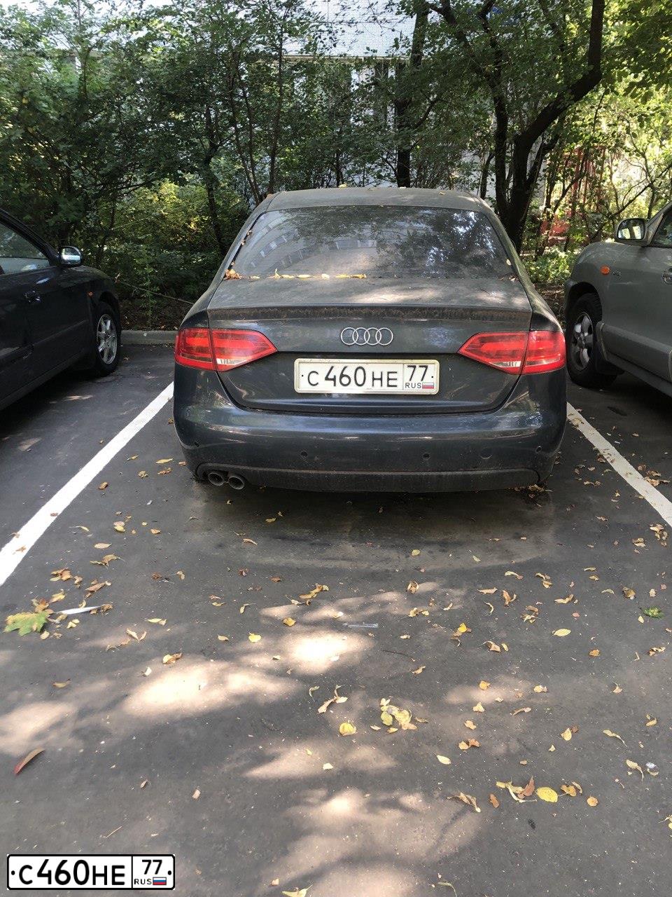 Фото автомобиля AUDI A4, 2009 — госномер С460НЕ77. Цвет: ТЕМНО СЕРЫЙ