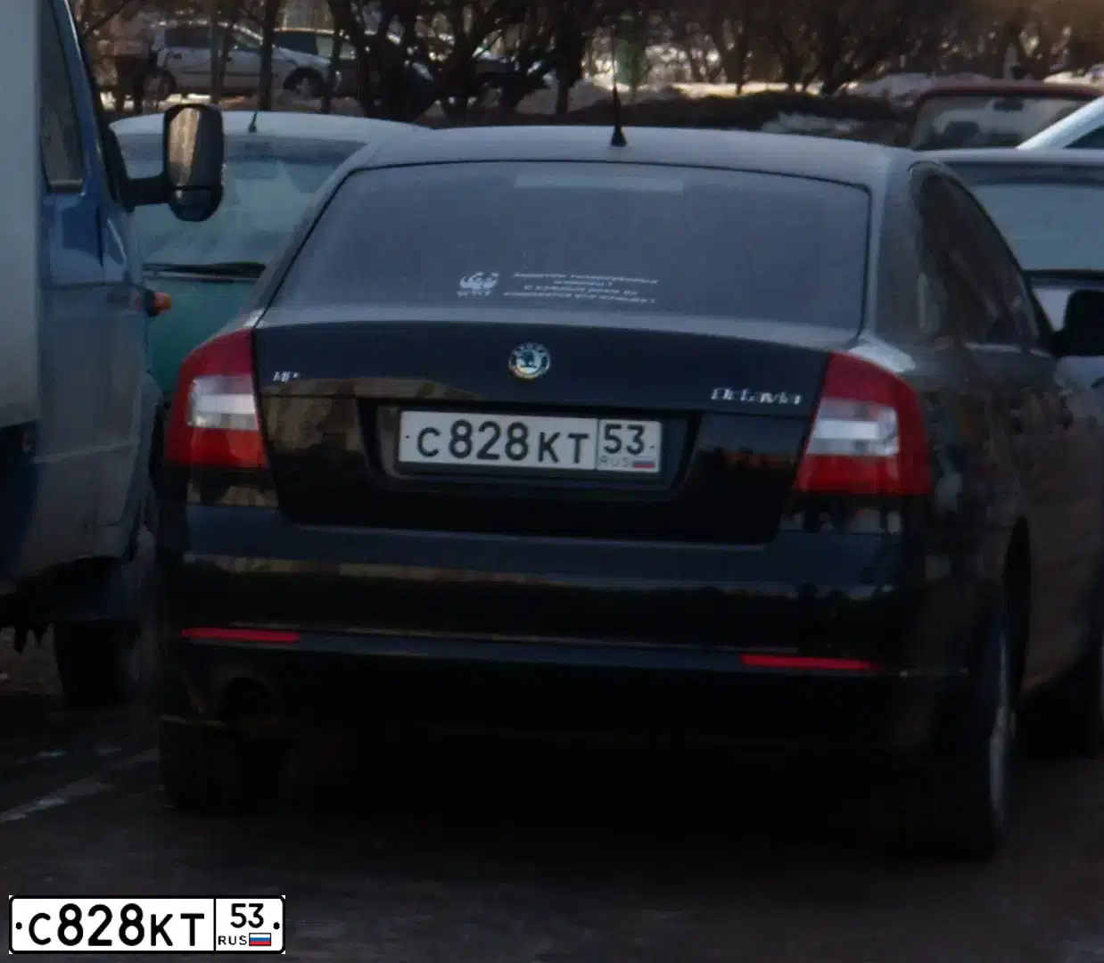 Фото автомобиля SKODA OCTAVIA, 2010 — госномер С828КТ53. Цвет: ЧЕРНЫЙ