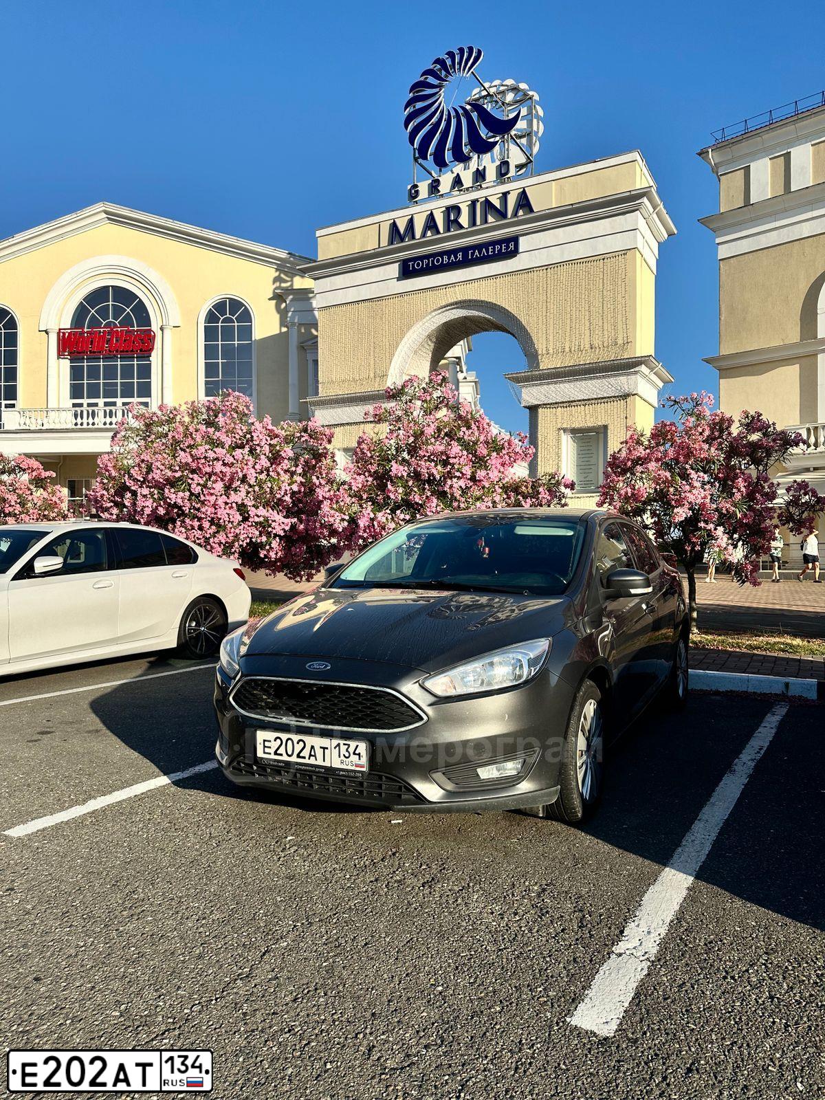 Фото автомобиля FORD FOCUS, 2017 — госномер Е202АТ134. Цвет: Серый