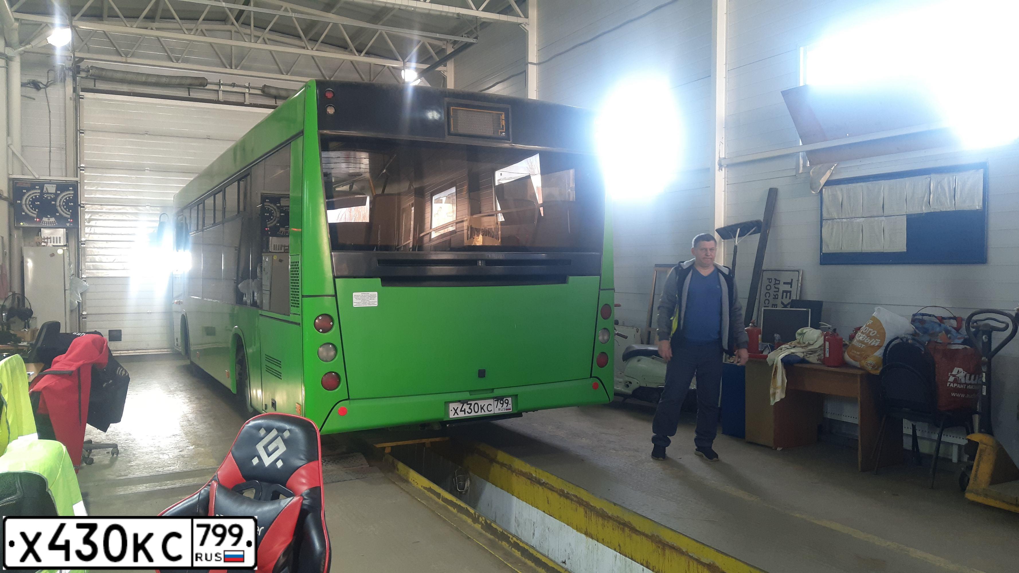 Фото автомобиля MAZ 206 - 226, 2017 — госномер Р013СТ68. Цвет: Зеленый