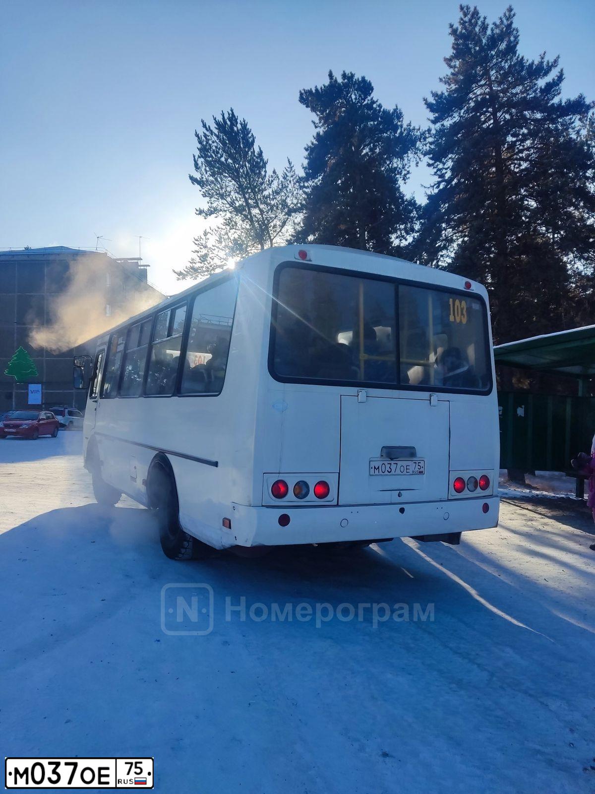 Фото автомобиля PAZ 3205, 2017 — госномер М037ОЕ75. Цвет: БЕЛЫЙ