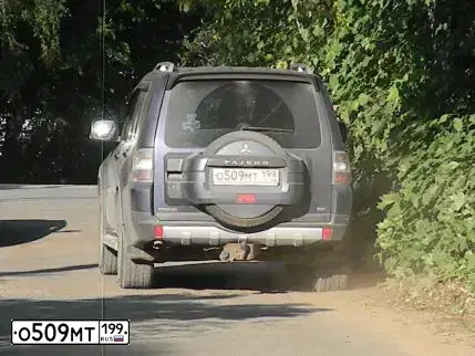 Фото автомобиля MITSUBISHI PAJERO, 2008 — госномер Т034ХТ777. Цвет: СИНИЙ