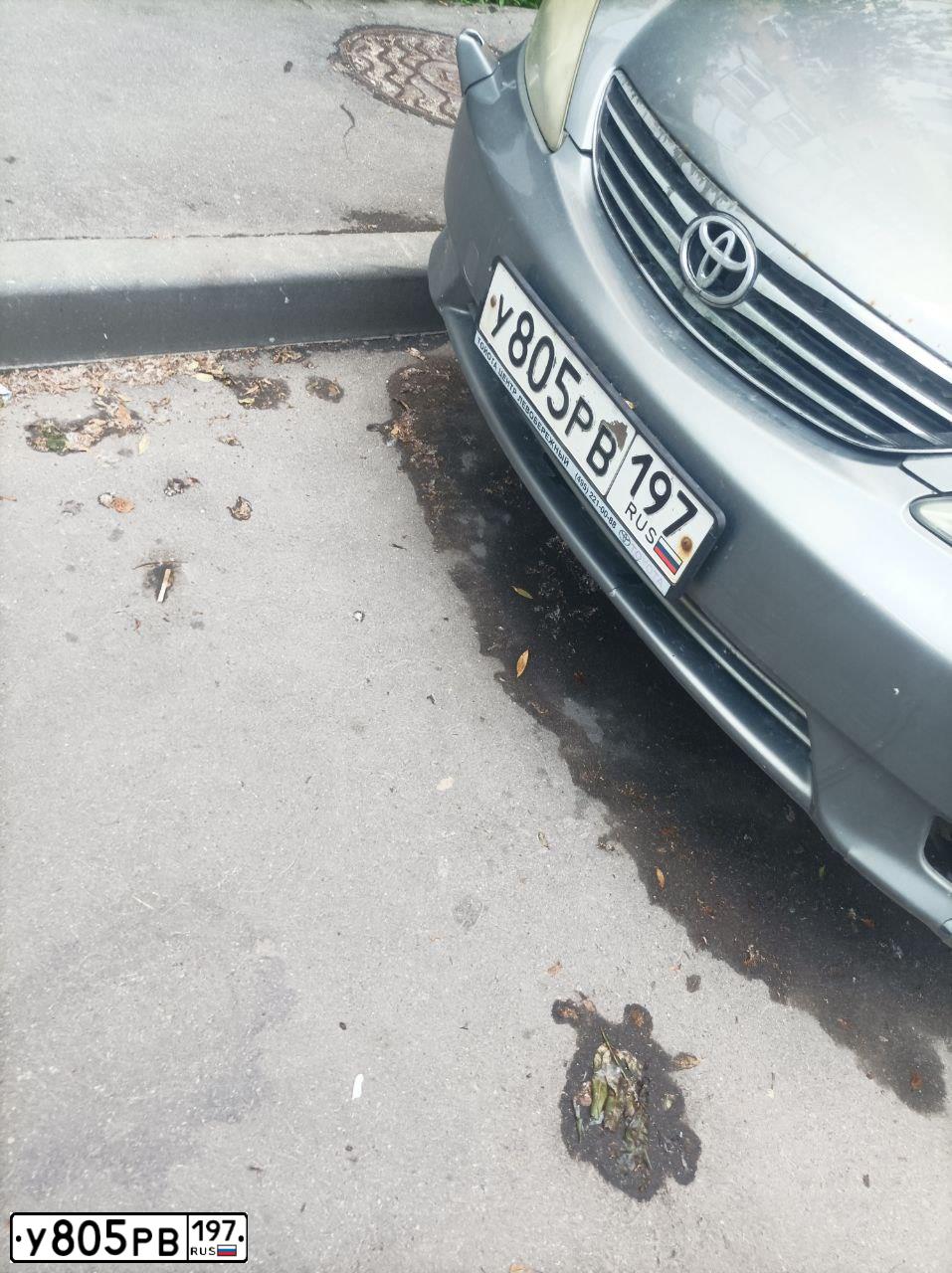 Фото автомобиля TOYOTA CAMRY, 2005 — госномер У805РВ197. Цвет: СЕРО-ЗЕЛЕНЫЙ