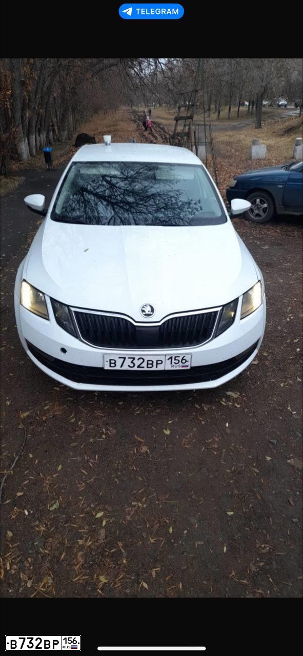 Фото автомобиля SKODA OCTAVIA, 2018 — госномер В732ВР156. Цвет: Белый