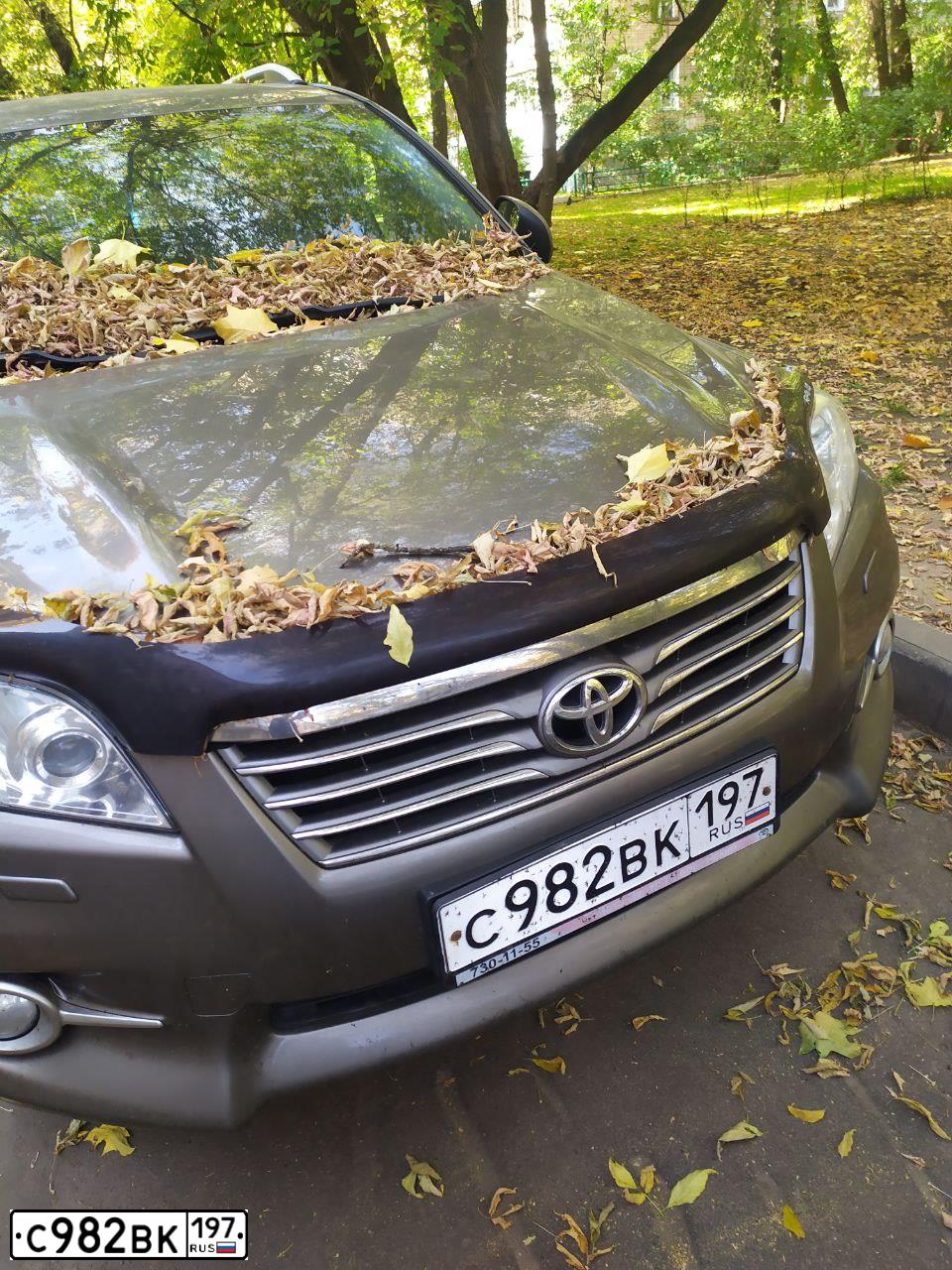 Фото автомобиля TOYOTA RAV4, 2010 — госномер С982ВК197. Цвет: ЗОЛОТИСТЫЙ
