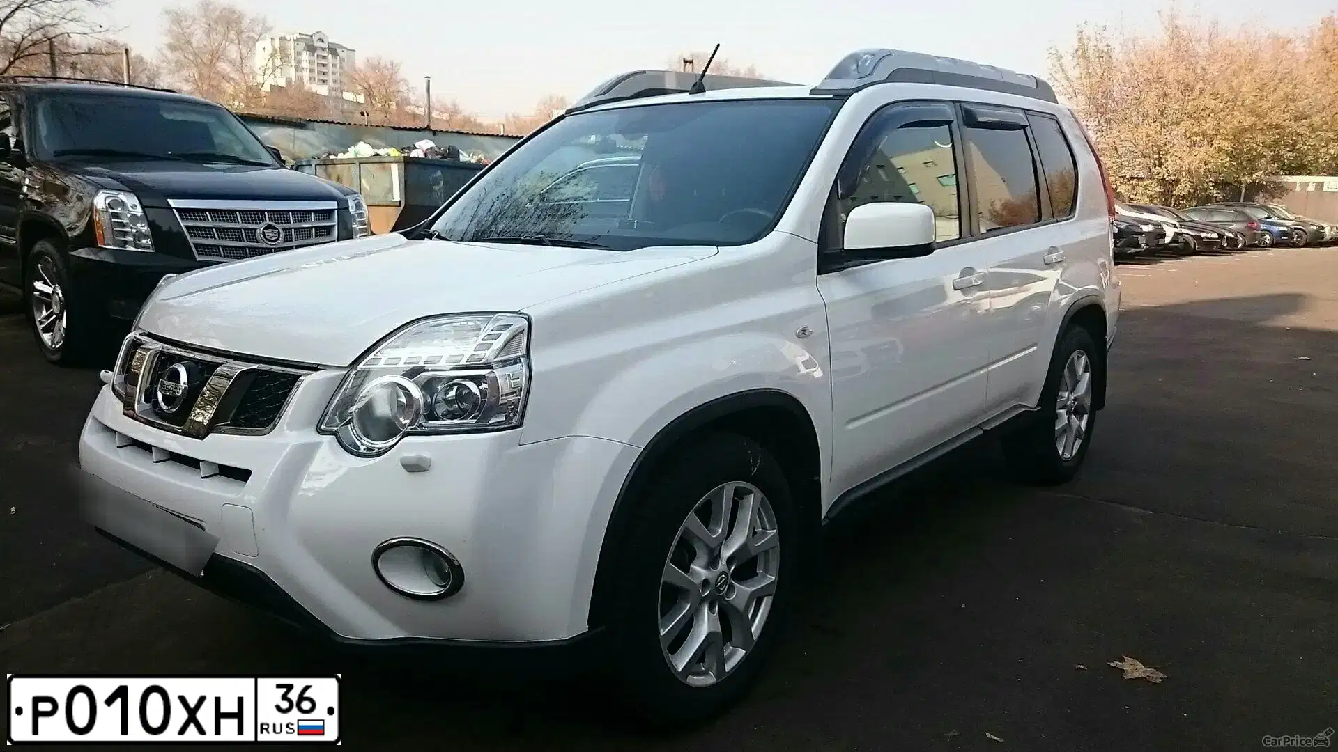 Фото автомобиля NISSAN X-TRAIL, 2013 — госномер Р010ХН36. Цвет: БЕЛЫЙ