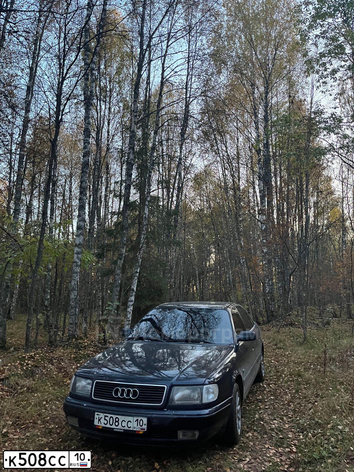 Фото автомобиля AUDI 100, 1981 — госномер К508СС10. Цвет: СИНИЙ