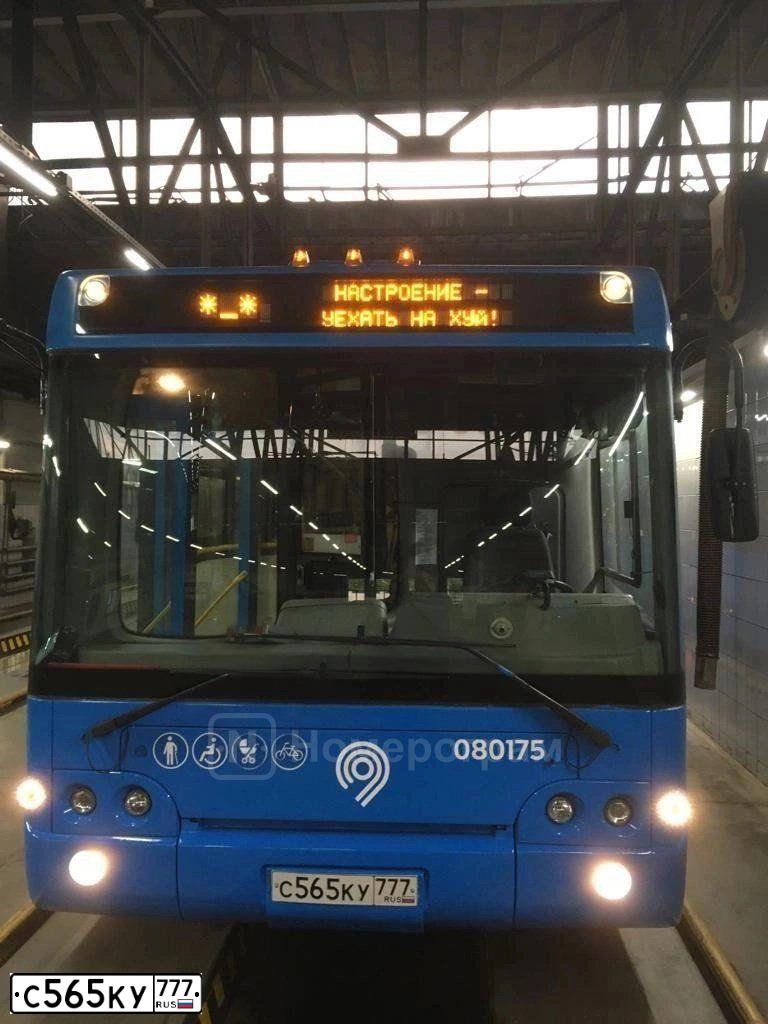 Фото автомобиля LIAZ 6213, 2014 — госномер С565КУ777. Цвет: синий