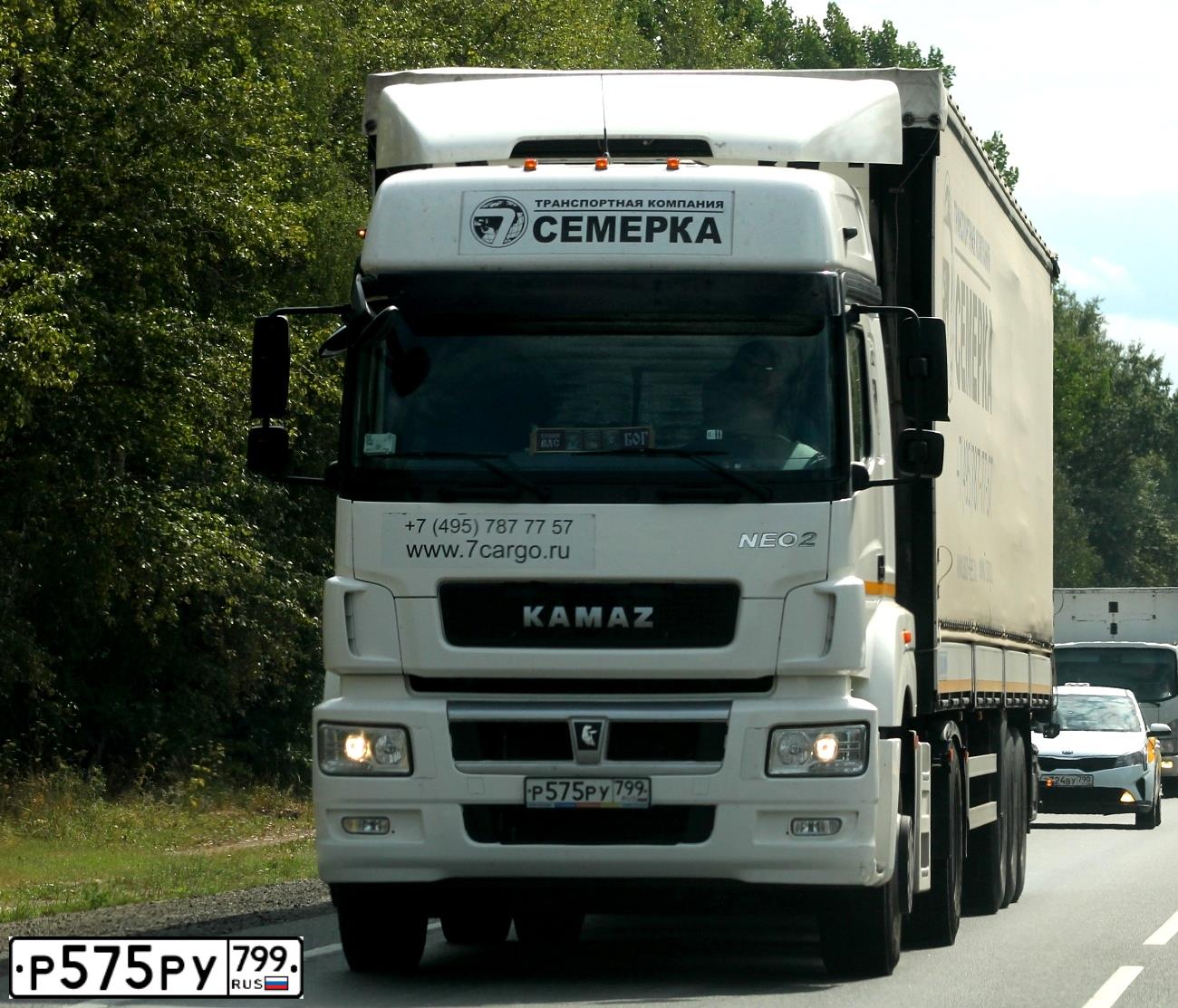 Фото автомобиля KAMAZ 5490, 2020 — госномер С931ТВ196
