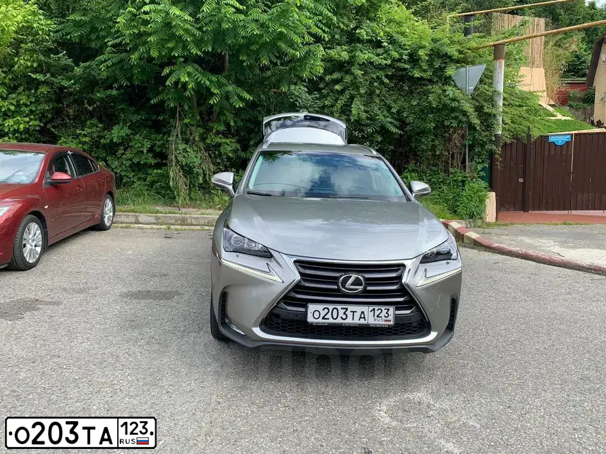 Фото автомобиля LEXUS NX, 2017 — госномер О203ТА123. Цвет: СВЕТЛО-СЕРЫЙ