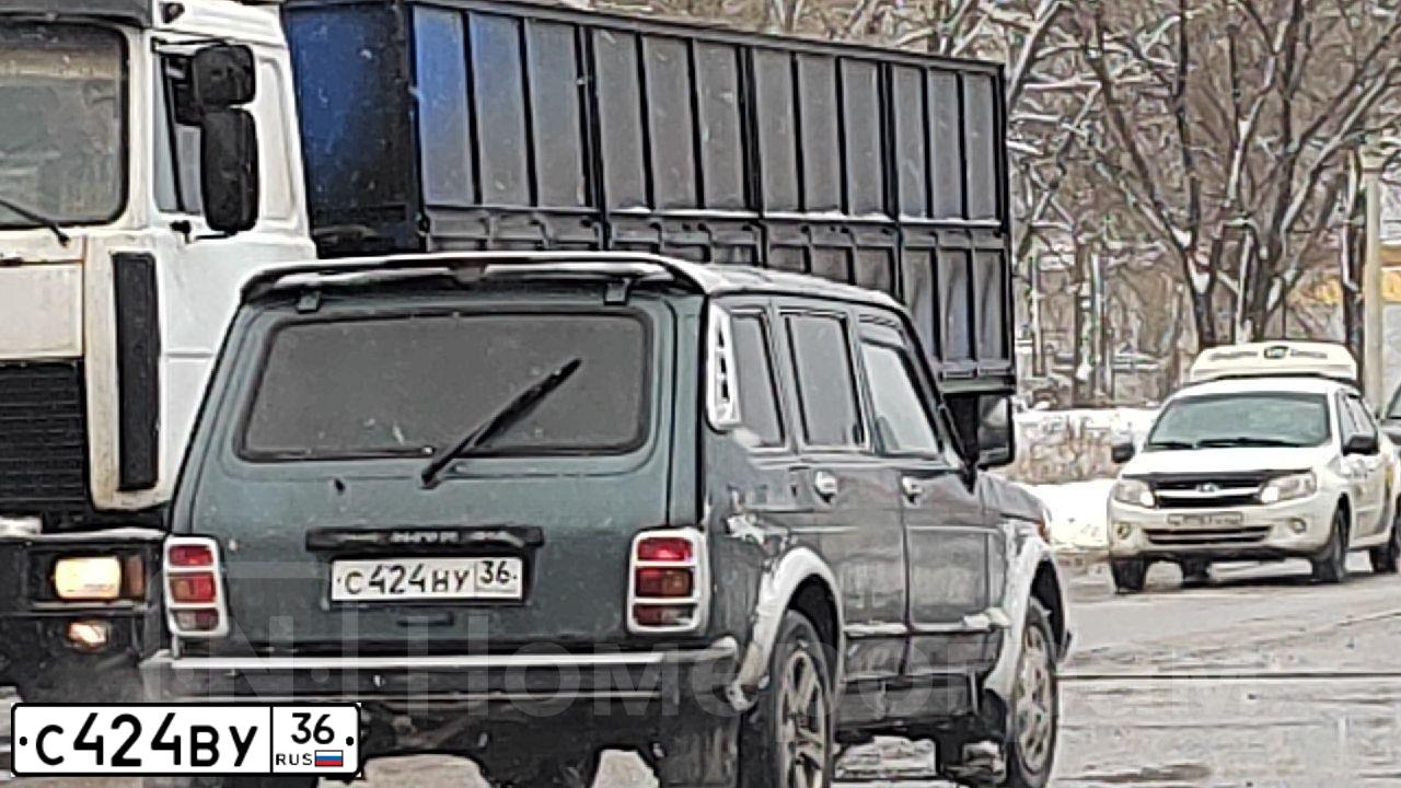 Фото автомобиля RENAULT MEGANE, 2004 — госномер М298ВС136. Цвет: СЕРО-БЕЖЕВЫЙ