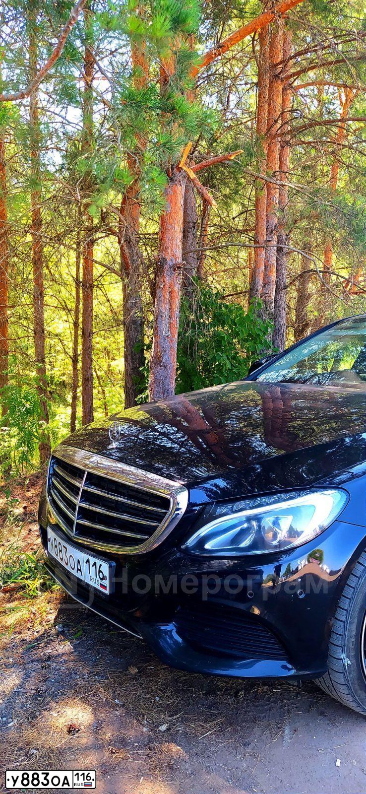 Фото автомобиля MERCEDES C-KLASSE, 2014 — госномер У883ОА116. Цвет: ЧЕРНЫЙ