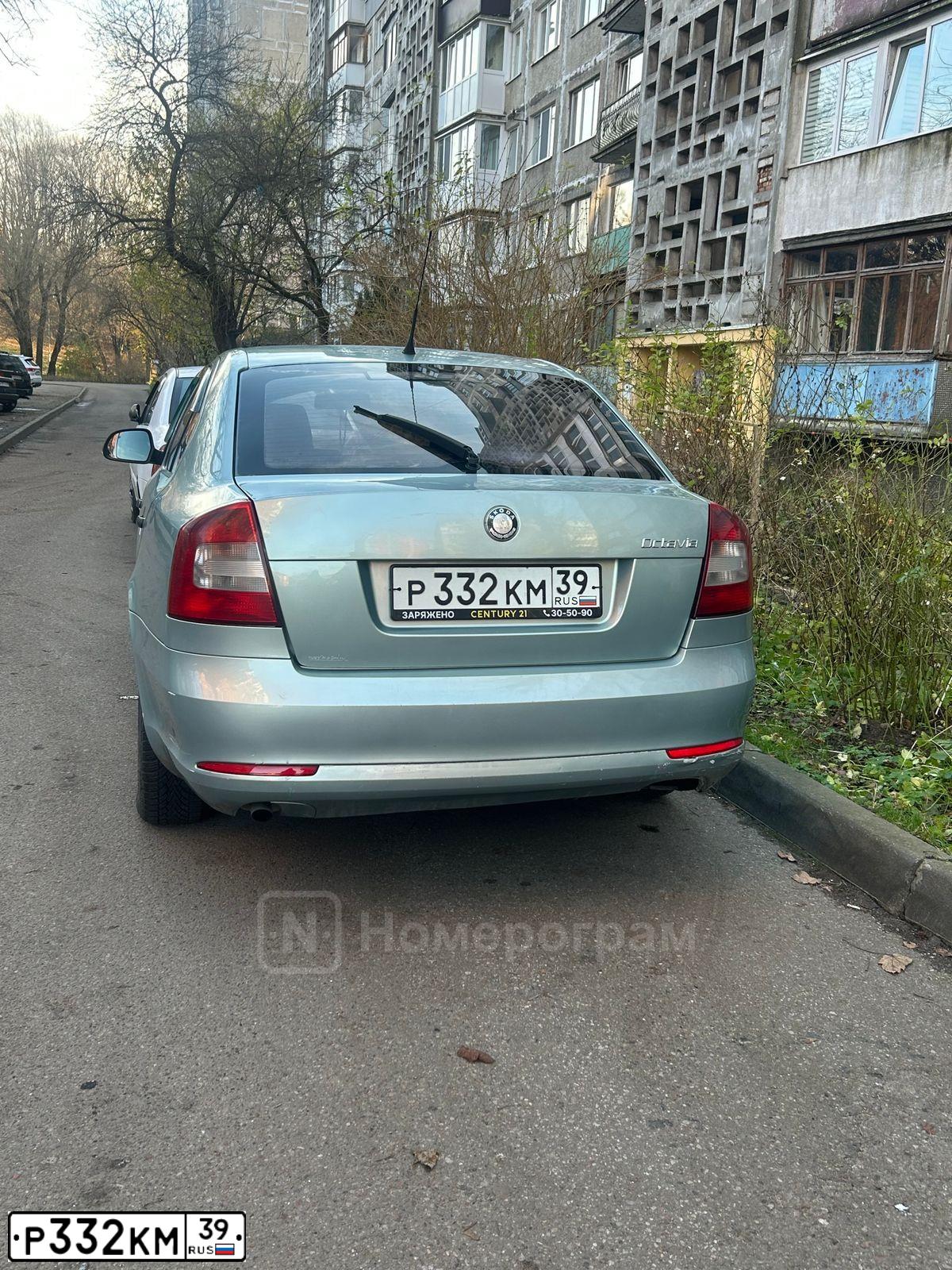 Фото автомобиля SKODA OCTAVIA, 2009 — госномер Р332КМ39. Цвет: СВЕТЛО-ЗЕЛЕНЫЙ