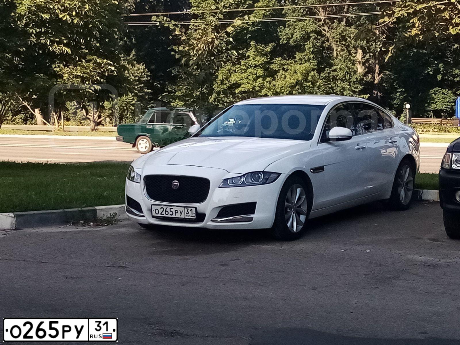 Фото автомобиля JAGUAR XF-SERIE, 2016 — госномер О265РУ31. Цвет: БЕЛЫЙ