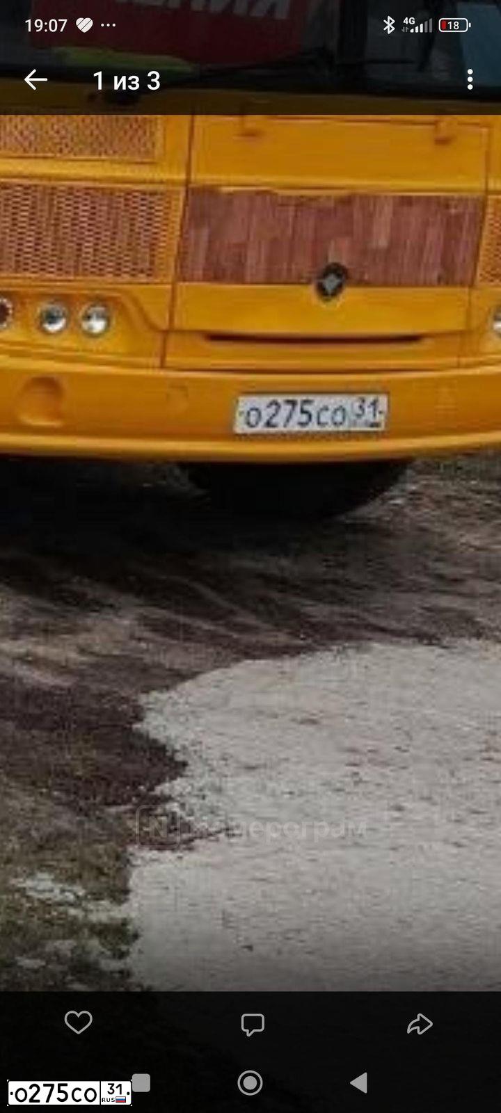 Фото автомобиля PAZ 3205, 2015 — госномер О275СО31. Цвет: ЖЕЛТЫЙ