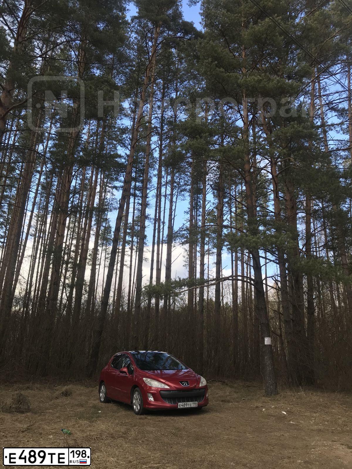 Фото автомобиля PEUGEOT 308, 2010 — госномер Е489ТЕ198. Цвет: Красный