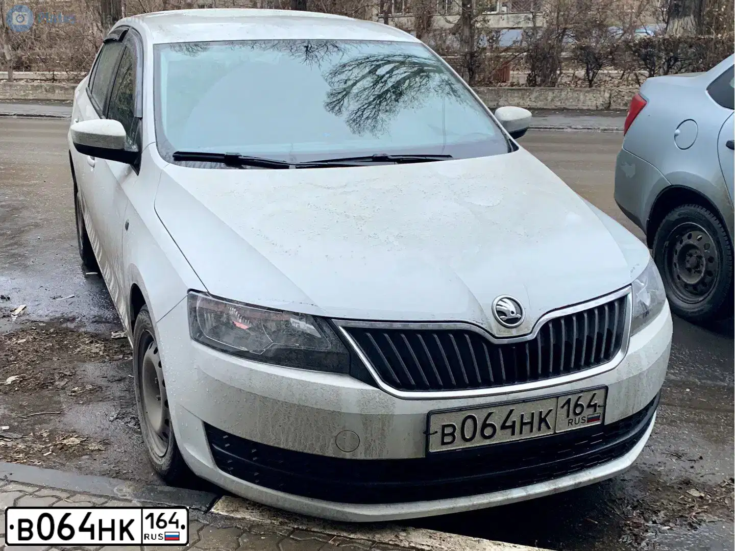Фото автомобиля SKODA A RAPID, 2017 — госномер В064НК164. Цвет: БЕЛЫЙ