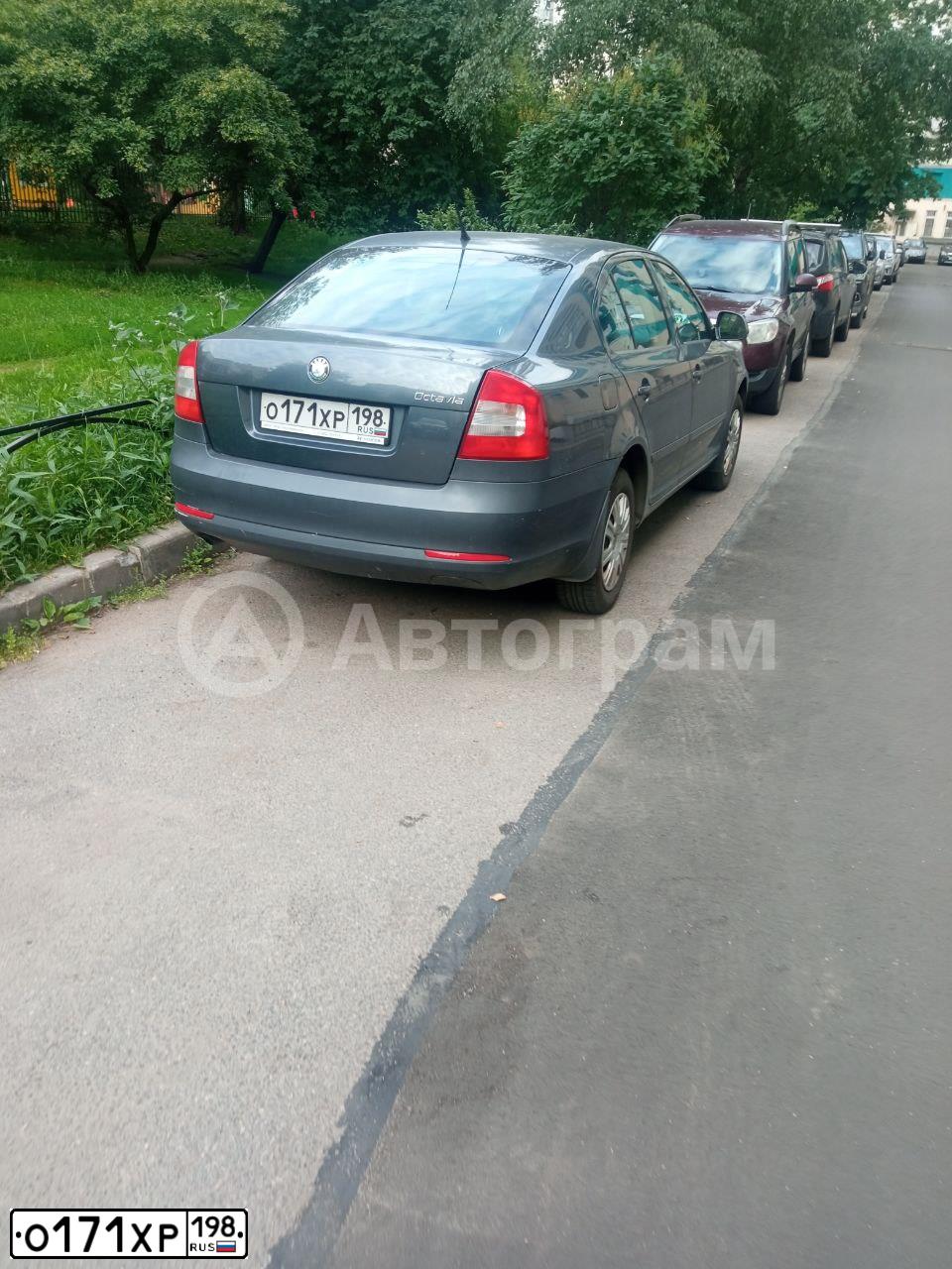 Фото автомобиля SKODA OCTAVIA, 2010 — госномер О171ХР198. Цвет: ТЕМНО-СЕРЫЙ