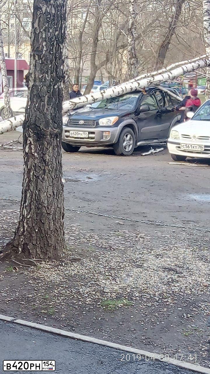 Фото автомобиля TOYOTA RAV4, 2000 — госномер В420РН154. Цвет: ЧЕРНЫЙ