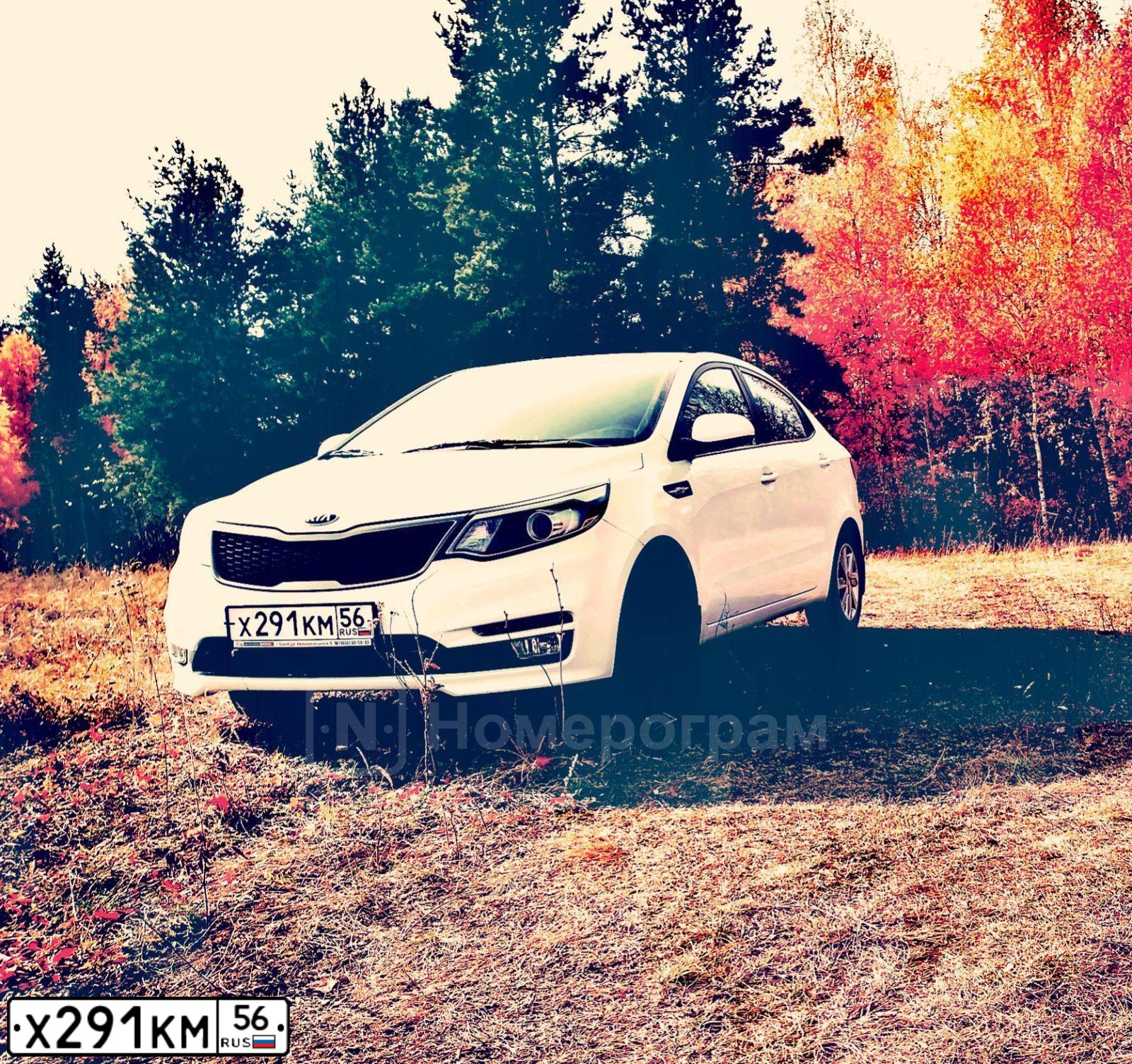 Фото автомобиля KIA RIO, 2017 — госномер Х291КМ56