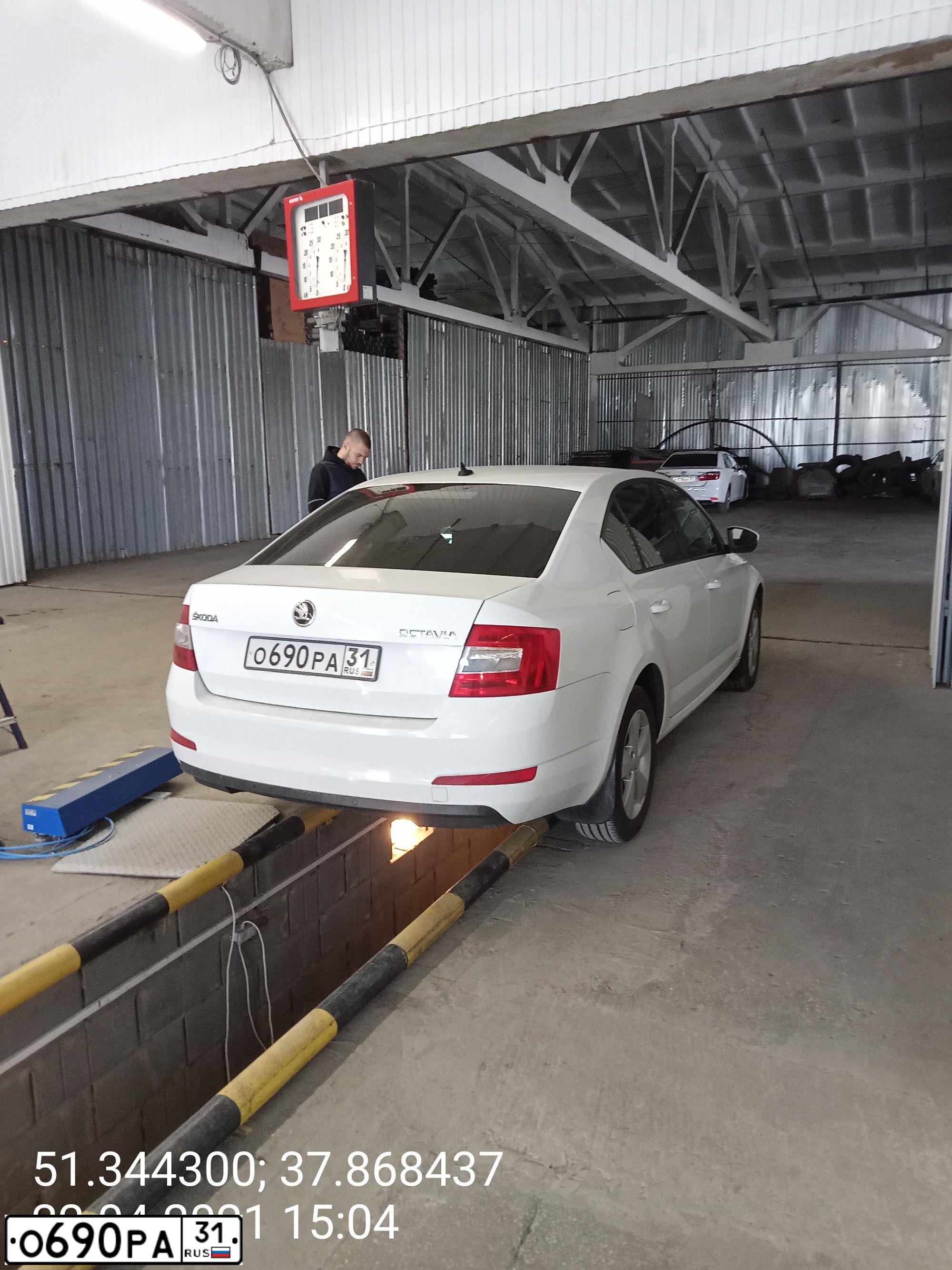 Фото автомобиля SKODA OCTAVIA, 2016 — госномер Т571РВ31. Цвет: Белый