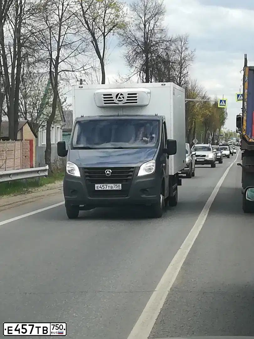 Фото автомобиля GAZ 3010, 2018 — госномер Т882УЕ152