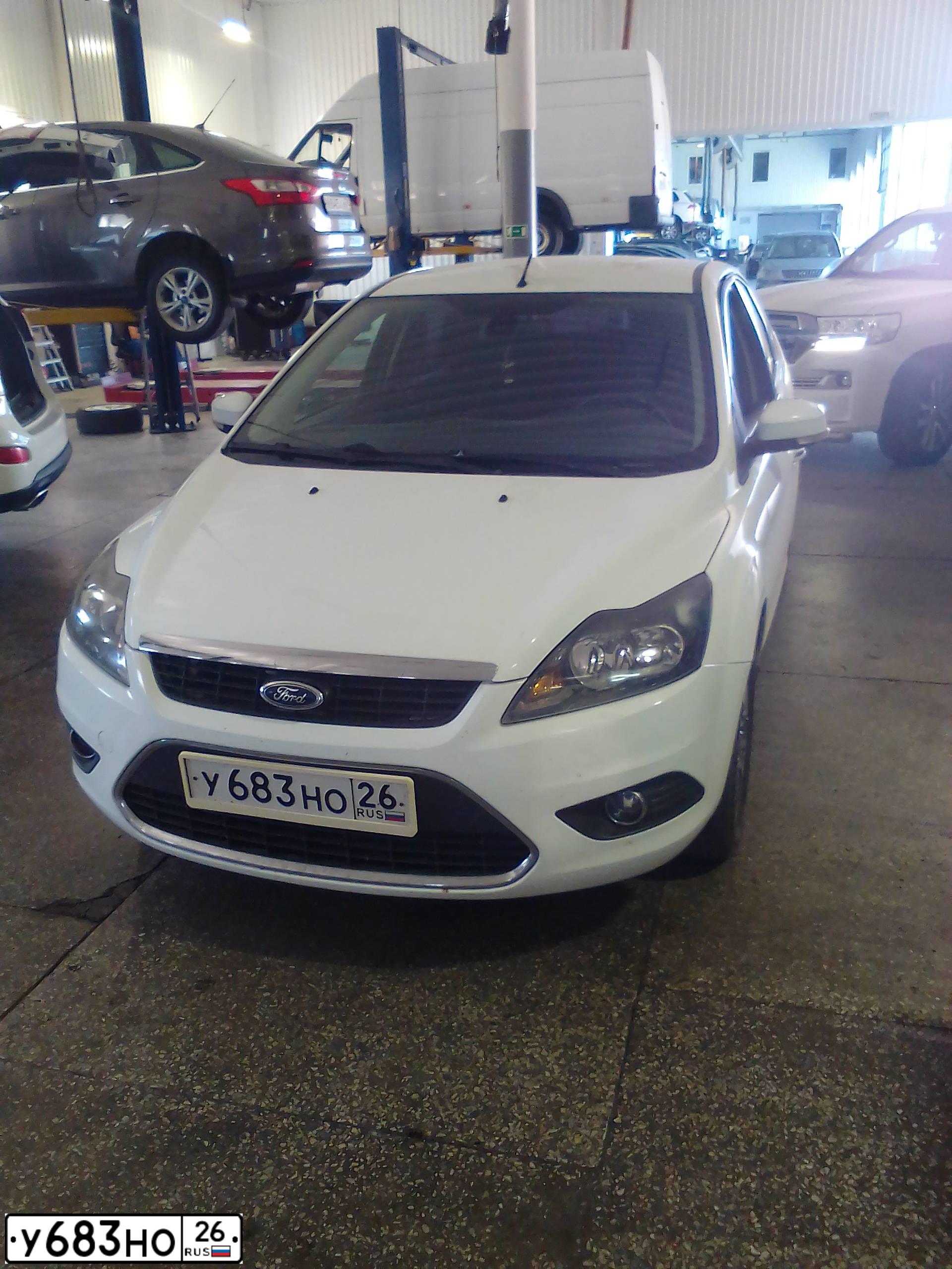 Фото автомобиля FORD FOCUS, 2010 — госномер Р067АЕ126. Цвет: БЕЛЫЙ