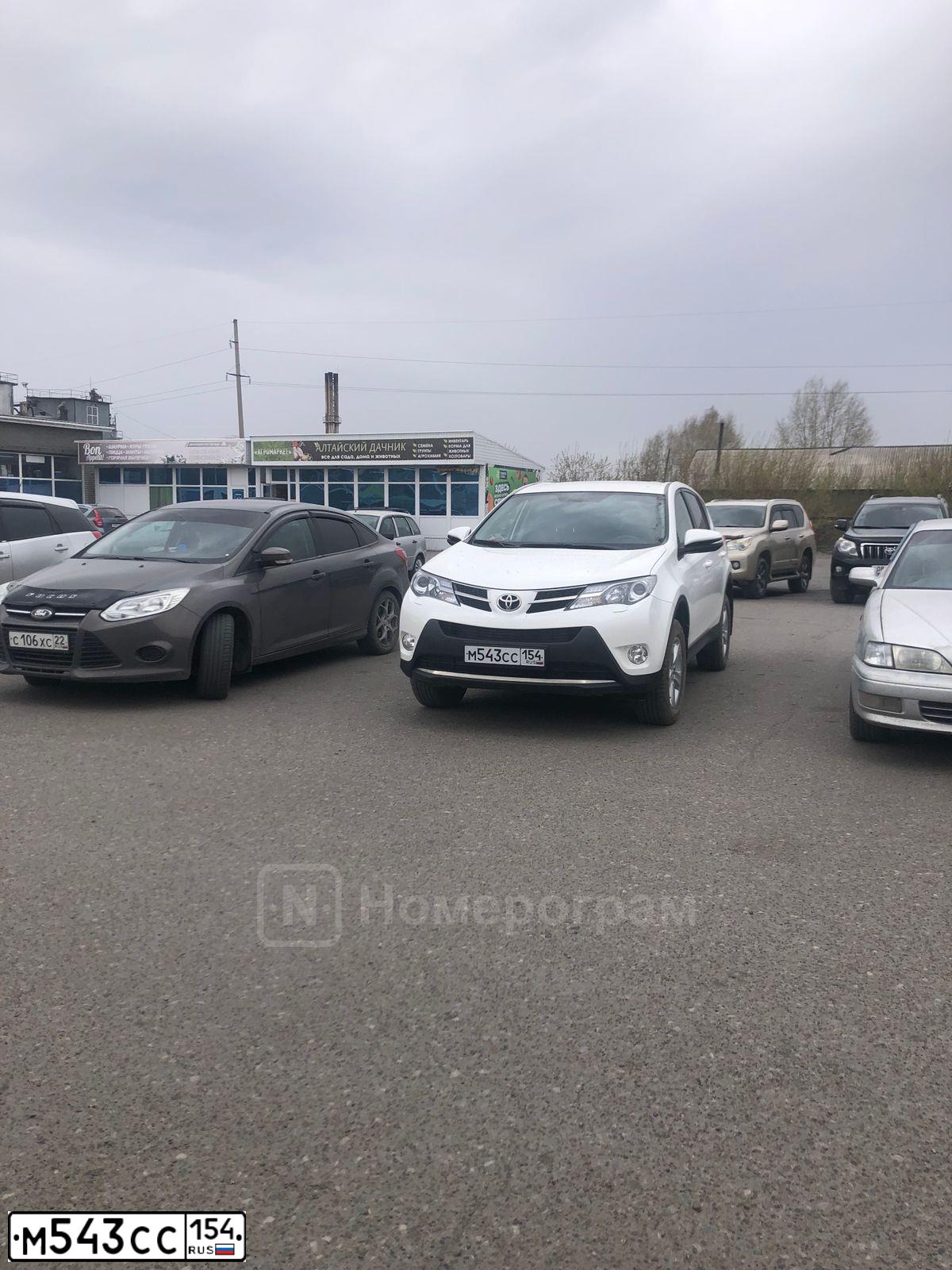 Фото автомобиля TOYOTA RAV4, 2013 — госномер М543СС154. Цвет: Белый