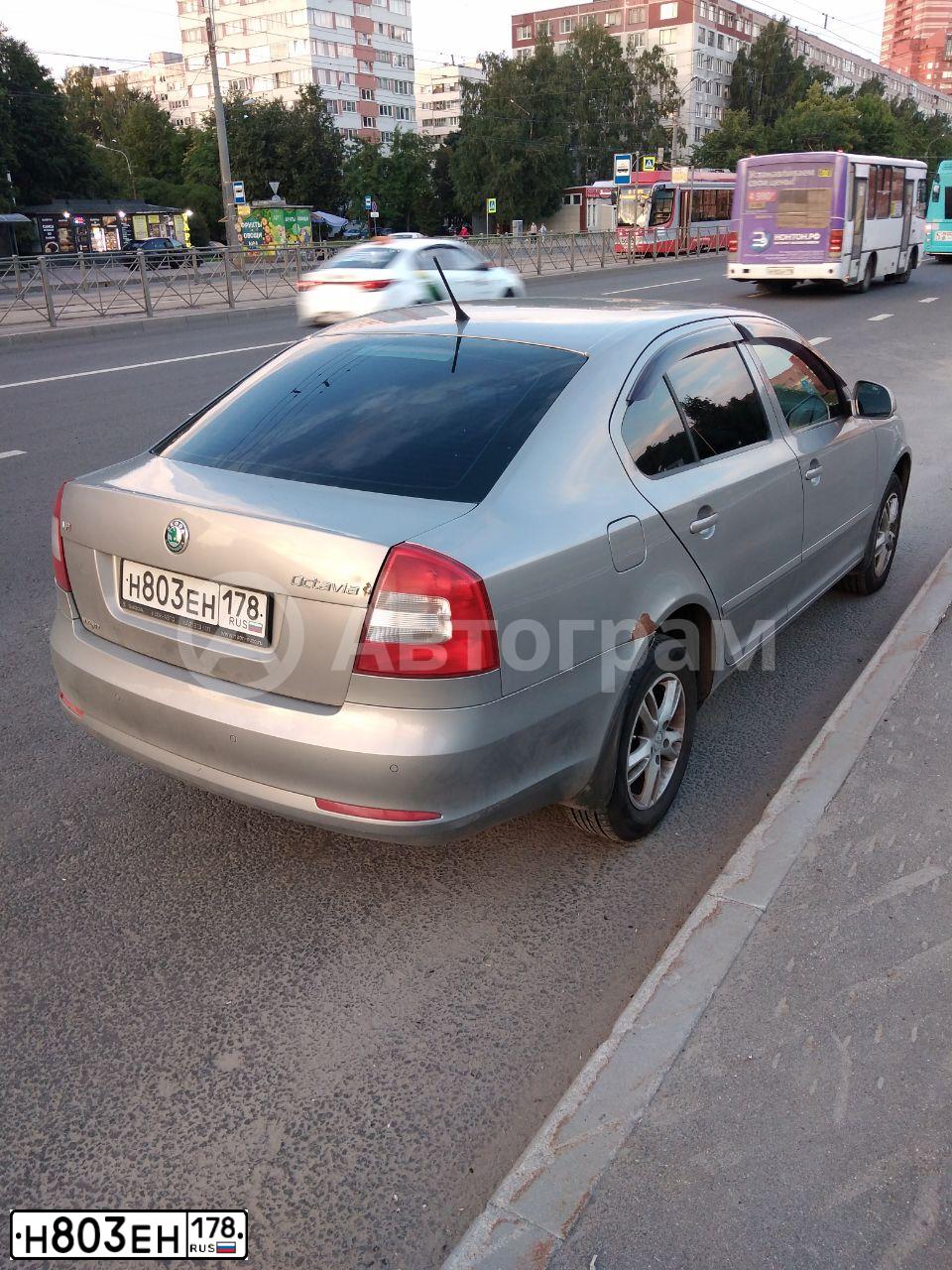 Фото автомобиля SKODA OCTAVIA, 2012 — госномер Н803ЕН178. Цвет: БЕЖЕВЫЙ